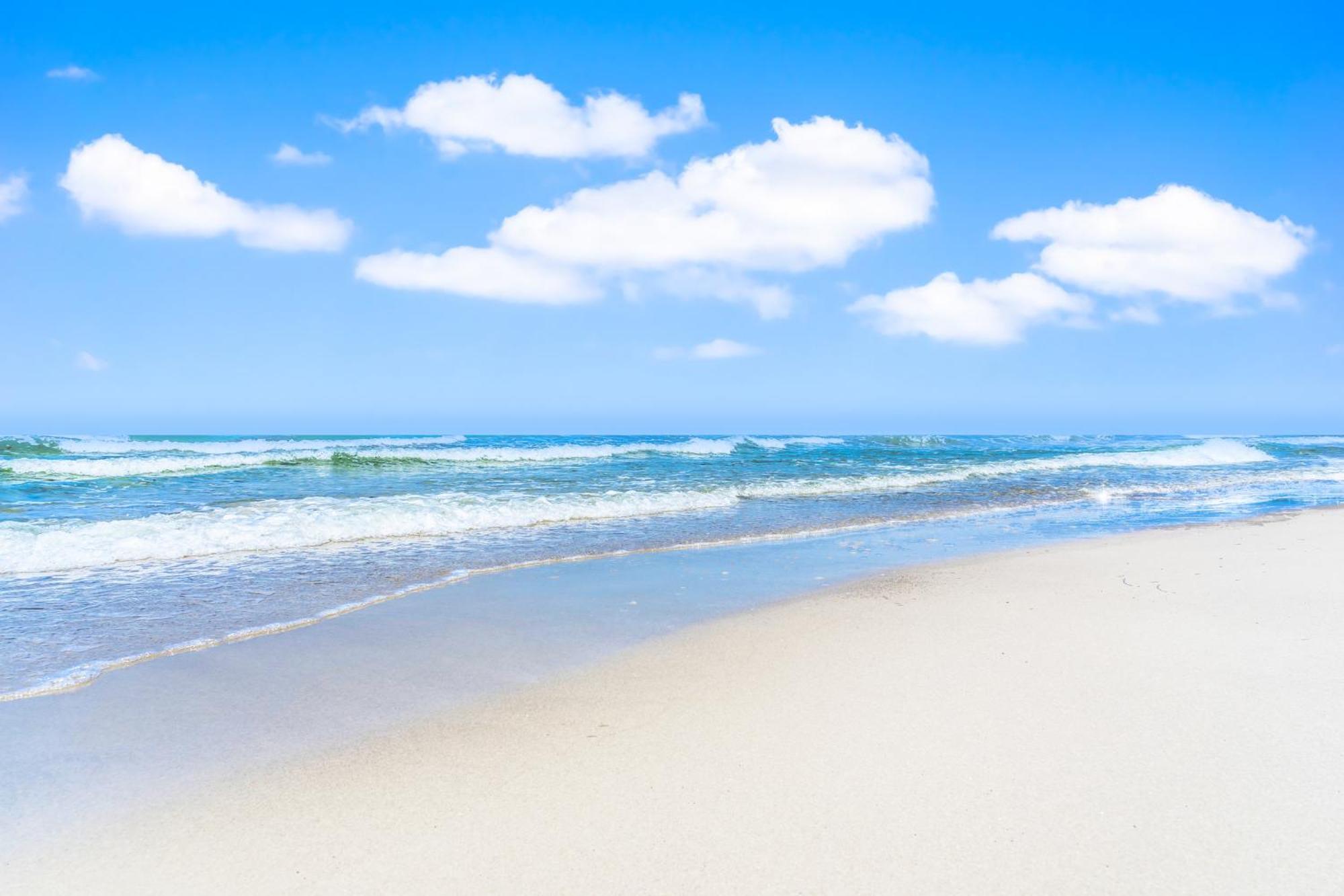 זינקסט Ostseeklang מראה חיצוני תמונה